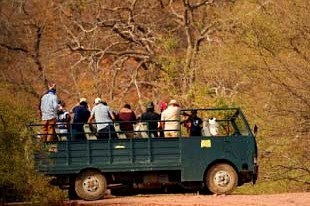 Top Reasons to Choose Sariska Tiger Reserve Wildlife Trip