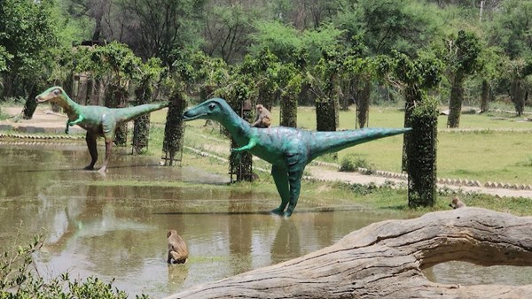 Bir Bara Ban Wildlife Reserve Bir Bara Ban Wildlife Reserve